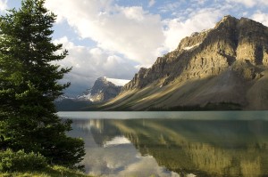 世界游泳锦标赛志愿者服务细则再度优化，世界游泳锦标赛项目